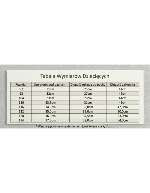 KOSZULA CHŁOPIĘCA niebieska stójka 100% BAWEŁNA Produkt Polski